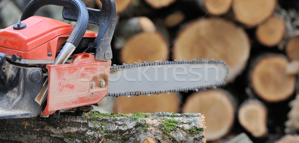  Chainsaw and tree Stock photo © byrdyak