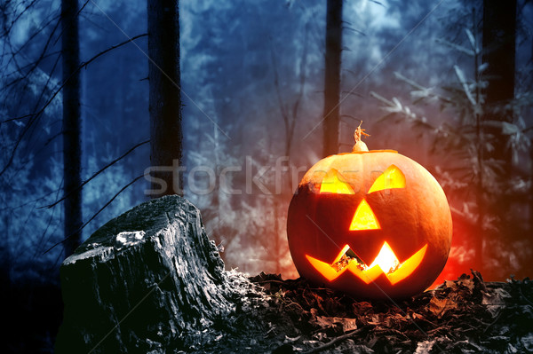Halloween pumpkin Stock photo © byrdyak