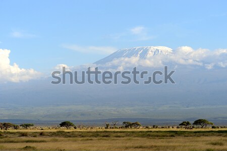 Kilimanjaro mountain Stock photo © byrdyak