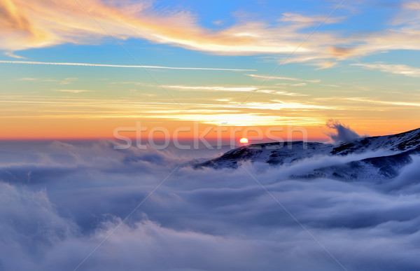 Tél tájkép égbolt fa erdő hó Stock fotó © byrdyak