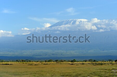 Stock photo: Kilimanjaro mountain