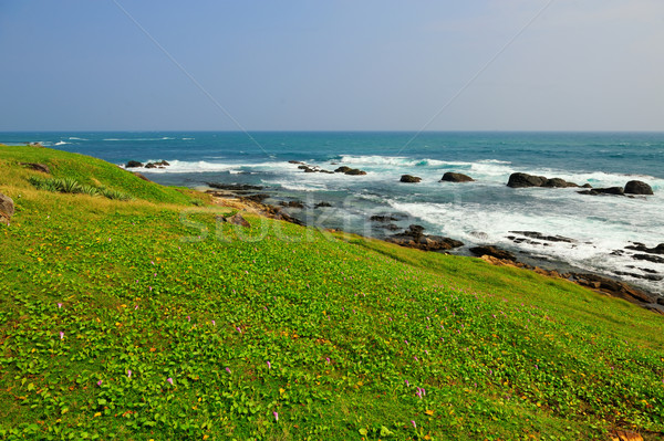 Praia tropical palma Sri Lanka praia céu água Foto stock © byrdyak