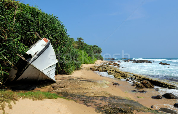 Old yacht stranded on a beach Stock photo © byrdyak