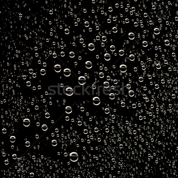 Kroplami wody czarny tekstury streszczenie charakter deszcz Zdjęcia stock © byrdyak