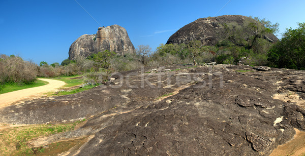 Foto stock: Montanha · Sri · Lanka · parque · ilha · céu · floresta