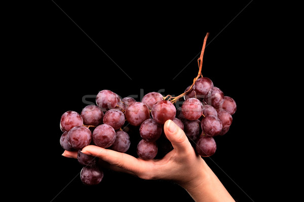 Fresh red grapes Stock photo © byrdyak