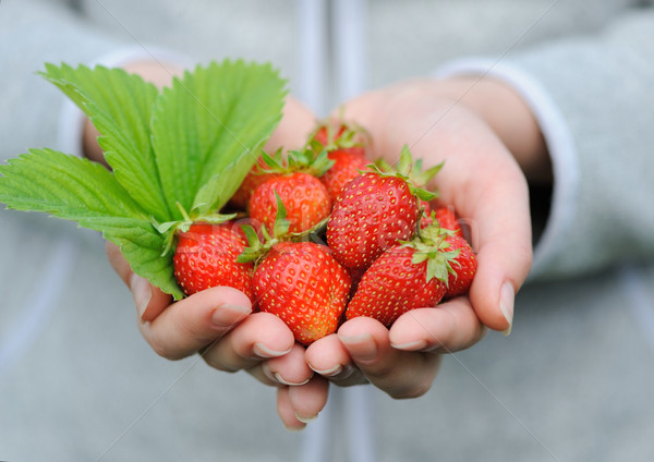 Stockfoto: Handen · vers · aardbeien · voedsel