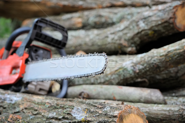 Láncfűrész közelkép sok fa alsónadrágok kéz Stock fotó © byrdyak
