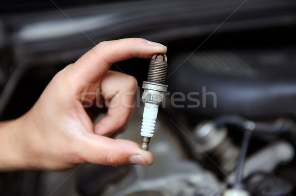 Auto mechanic holds an spark plug Stock photo © byrdyak