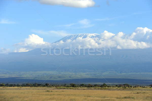 Neve topo Monte Kilimanjaro natureza beleza montanha Foto stock © byrdyak