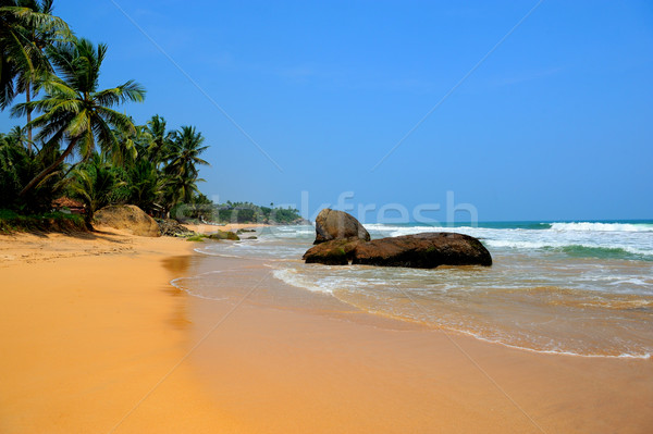 Plage tropicale Palm Sri Lanka plage ciel eau [[stock_photo]] © byrdyak