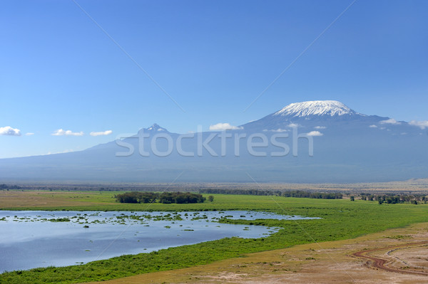 Stock photo: Kilimanjaro