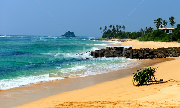 Plage tropicale Palm Sri Lanka plage ciel eau [[stock_photo]] © byrdyak