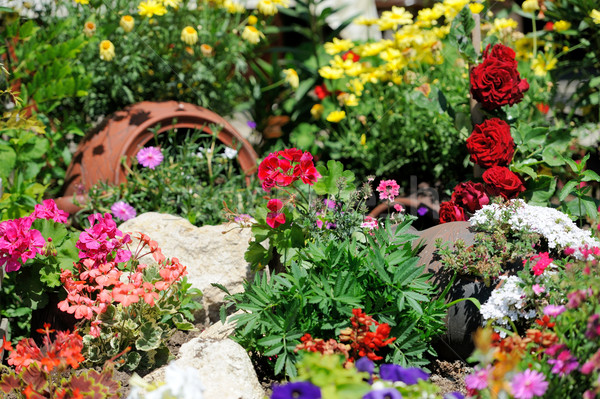 Virágoskert buja tájkép kert virágágy színes Stock fotó © byrdyak