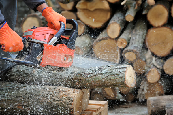 Chainsaw Stock photo © byrdyak