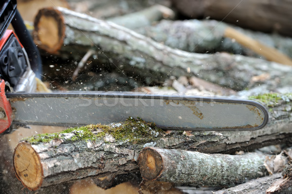 Láncfűrész fa közelkép profi penge vág Stock fotó © byrdyak