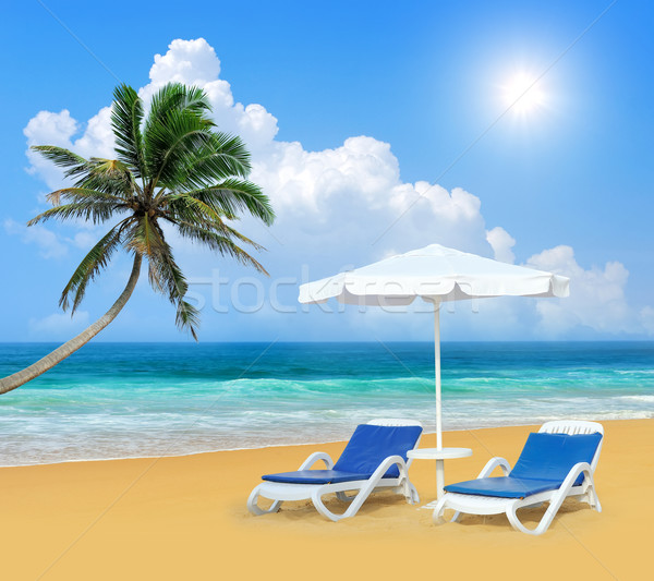 Călători palmier alb umbrelă plajă Imagine de stoc © byrdyak