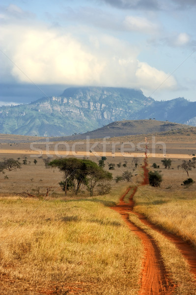 Red ground road and bush with savanna landscape in Africa Stock photo © byrdyak