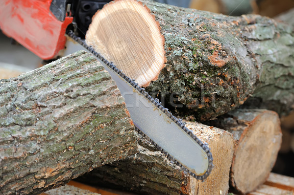 Stok fotoğraf: Ağaç · profesyonel · bıçak