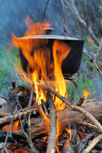 Koken natuur ketel brand bos voedsel Stockfoto © byrdyak