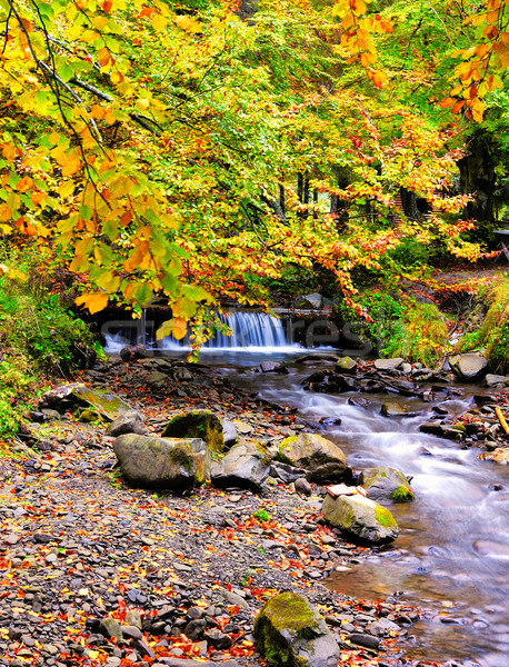 Outono floresta árvore natureza cachoeira lago Foto stock © byrdyak