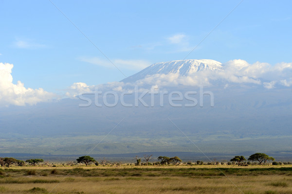 Snow on top of Mount Kilimanjaro Stock photo © byrdyak