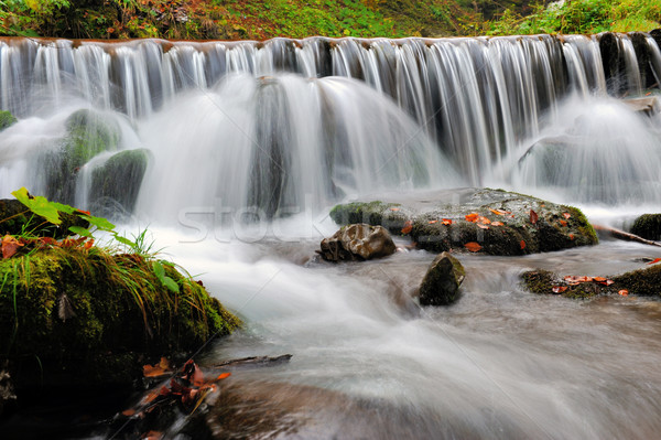 Stock photo: Autumn forest waterfall