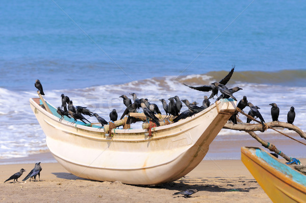 Vissen boten lege strand Sri Lanka Stockfoto © byrdyak