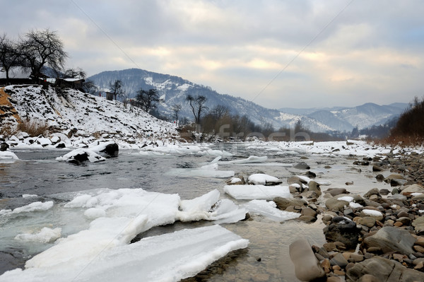 Górskich rzeki zimą czasu drzewo drewna Zdjęcia stock © byrdyak