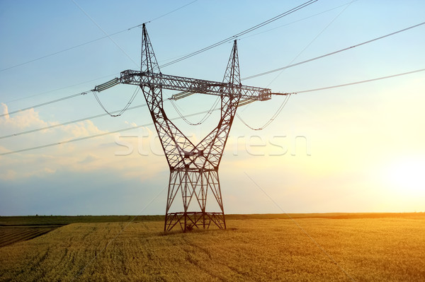 Foto d'archivio: Alta · tensione · line · elettrica · coltivato · campo · cielo