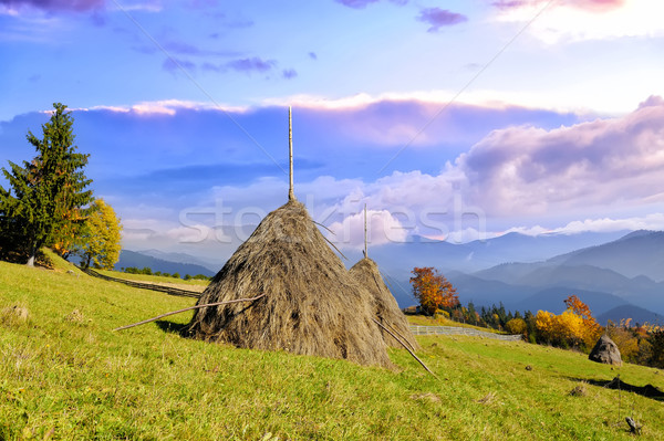 Haystacks from a mountain village in mountains Stock photo © byrdyak