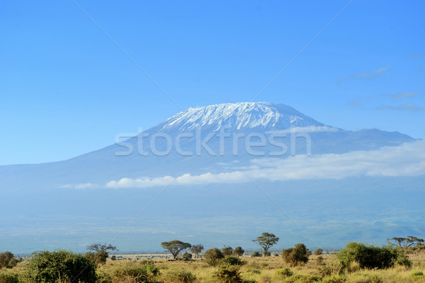 Stock photo: Kilimanjaro mountain