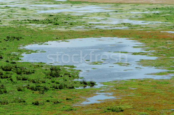 [[stock_photo]]: été · paysage · Afrique · parc · Kenya · ciel