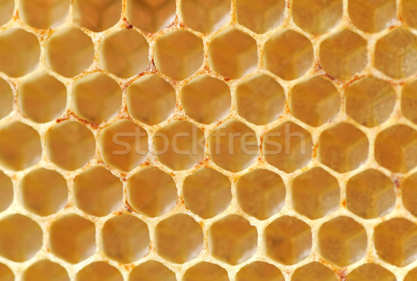 Honeycomb Stock photo © byrdyak