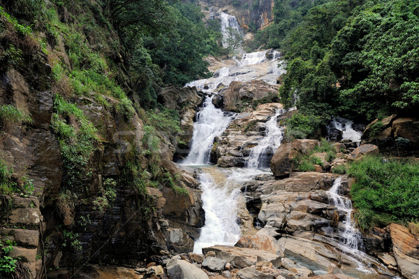 Piękna wodospad Sri Lanka charakter piękna zielone Zdjęcia stock © byrdyak