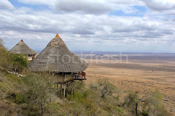 Ház domb fából készült park Kenya víz Stock fotó © byrdyak