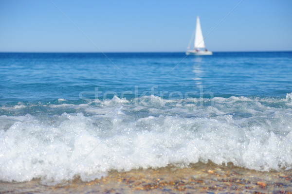 Sailing yacht in the sea Stock photo © byrdyak