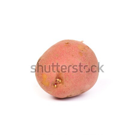 Stock photo: new potato