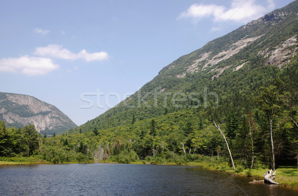 Gölet New Hampshire ABD manzara dağlar göl Stok fotoğraf © ca2hill