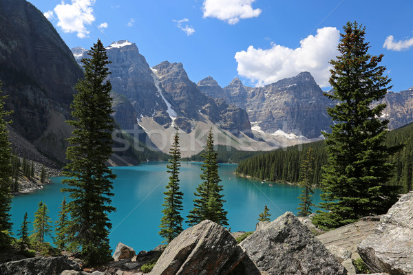 Lake Moraine Evergreens
 Stock photo © ca2hill