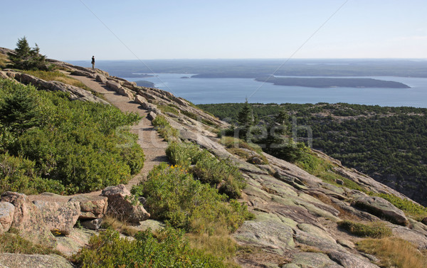 View from Cadillac Mountain Stock photo © ca2hill