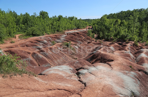 Caledon Badlands
 Stock photo © ca2hill