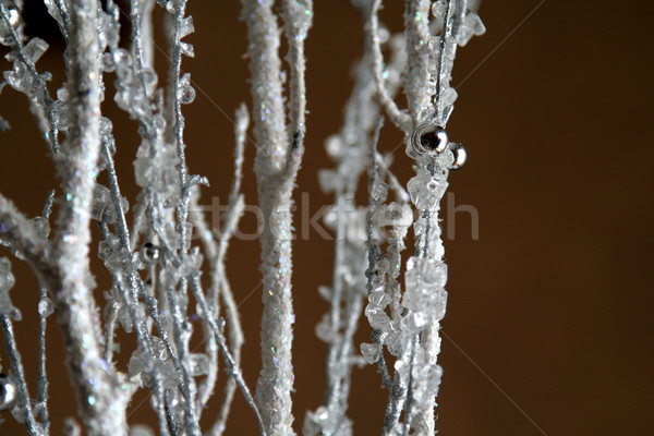 Zimą lasu dekoracji oddziału Zdjęcia stock © ca2hill