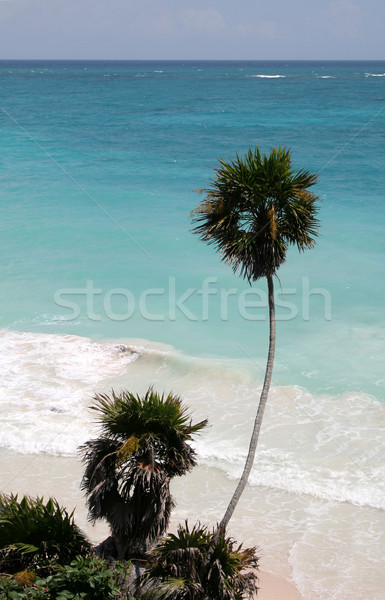 Stock photo: Paradise Beach
