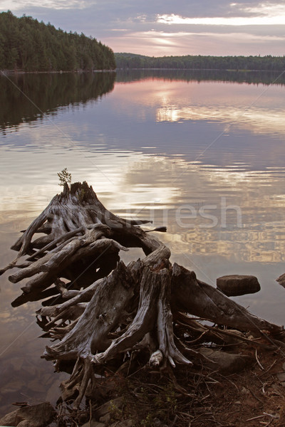 Insulă lac apus parc ontario Canada Imagine de stoc © ca2hill