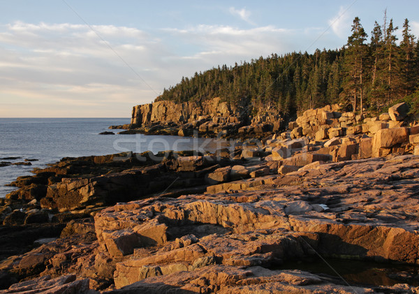 Otter Cliff at Sunrise Stock photo © ca2hill