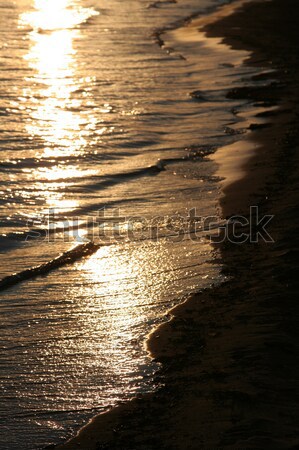 Golden Tide Stock photo © ca2hill