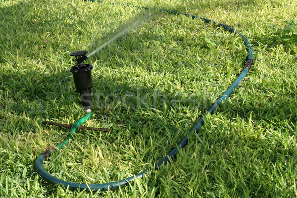 Lawn Sprinkler Stock photo © ca2hill