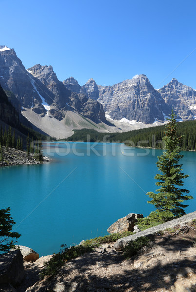 Foto stock: Lago · morena · espectacular · parque · agua · árbol