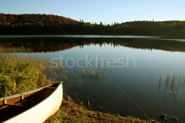 Gata canoe luminos dimineaţă lumina soarelui parc Imagine de stoc © ca2hill